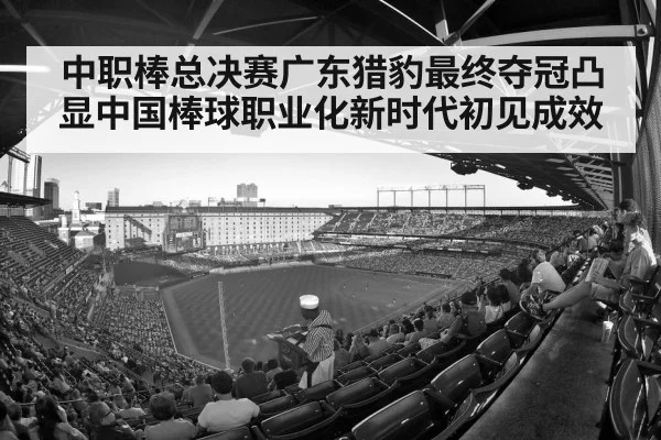 中职棒总决赛广东猎豹最终夺冠凸显中国棒球职业化新时代初见成效